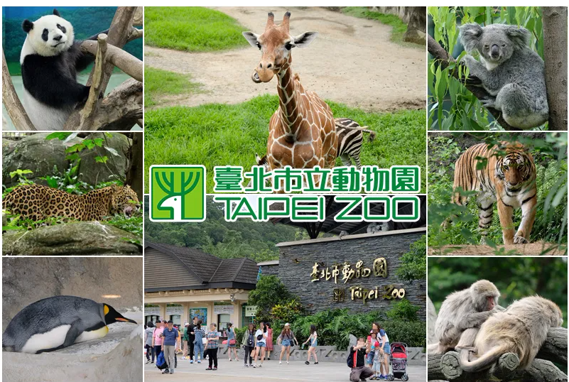 搜狗高速浏览器截图20240517231034.png